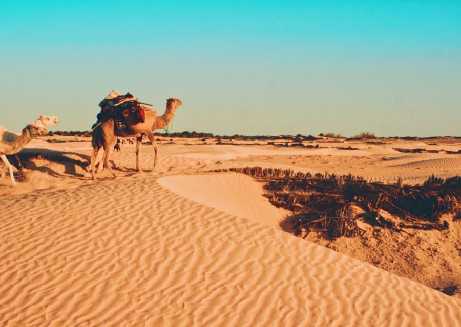 Djerba