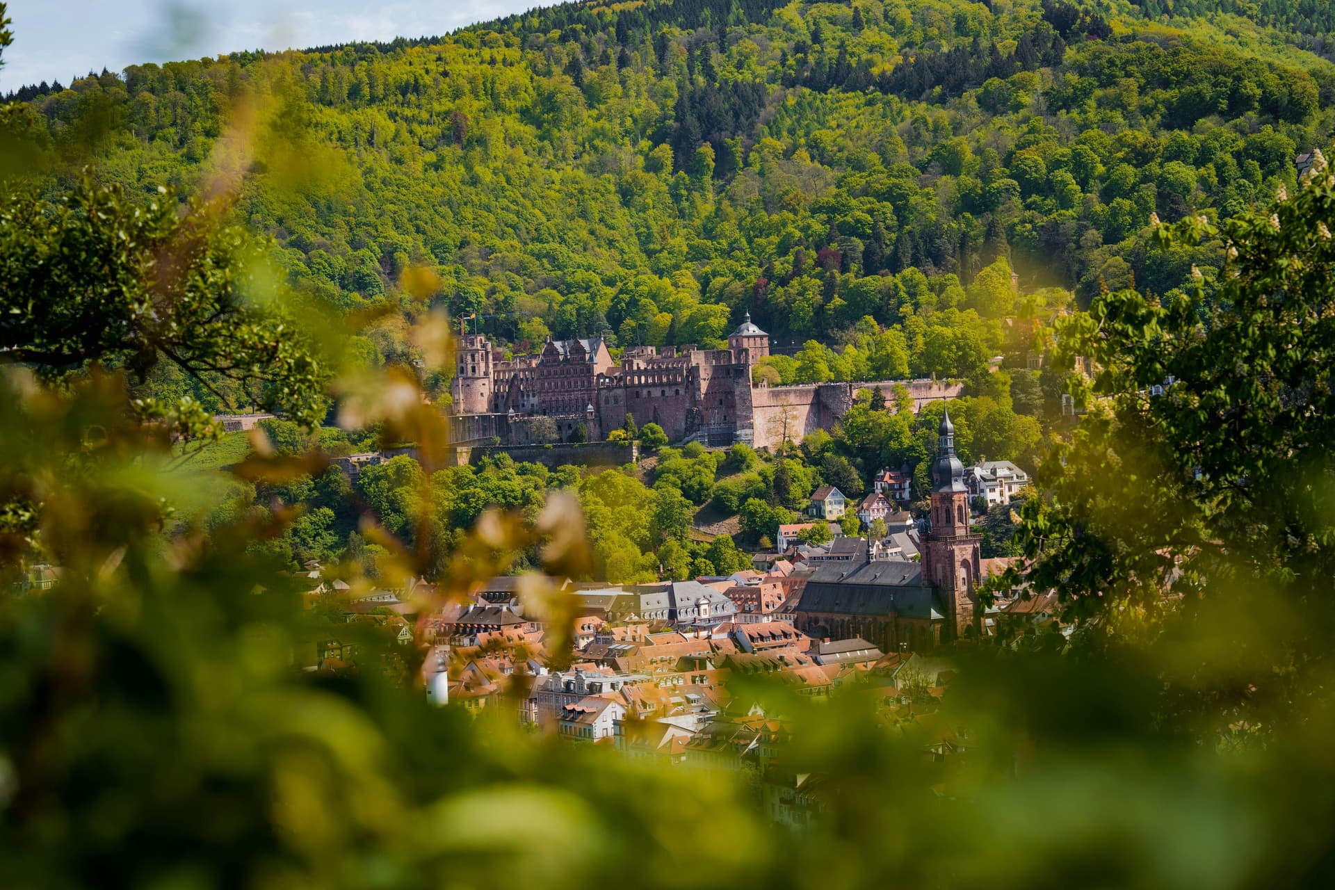 Eifel 2