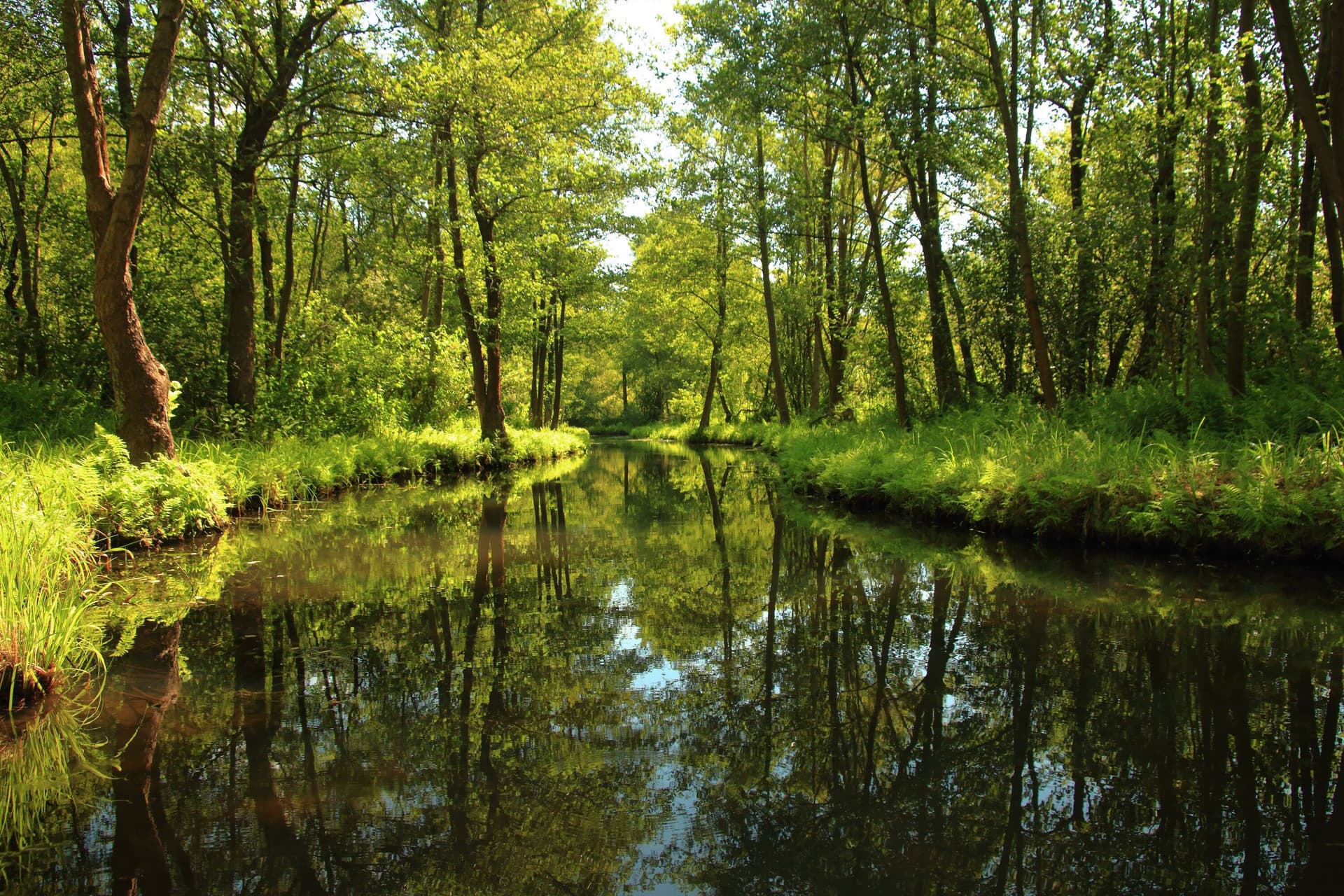 Spreewald-1