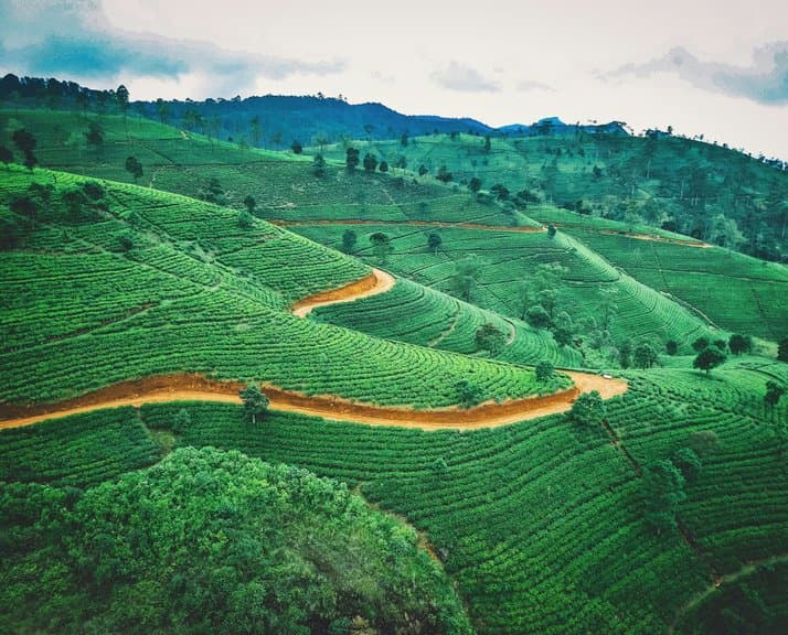 SriLanka